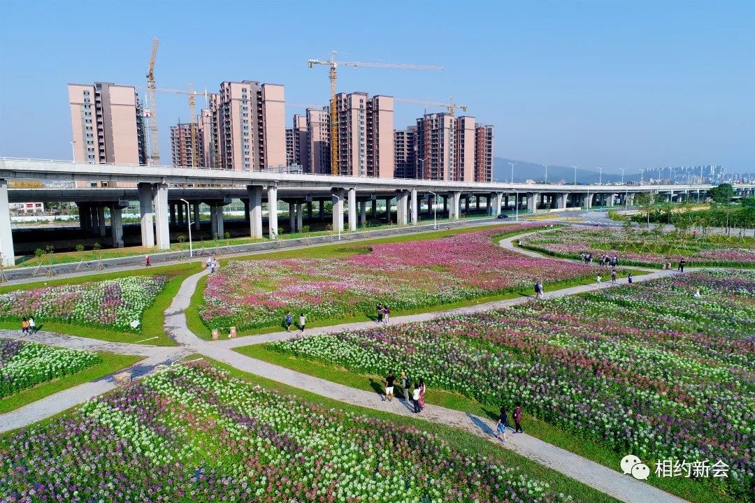 近十年来新会枢纽新城人口扩大了数倍未来