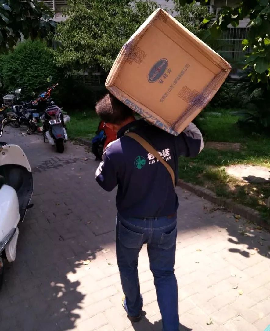 虽然爸爸是个骗子但是那些未说出口的话我们都懂