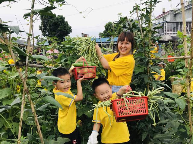 蔬菜配送：新鲜直达，轻松享受绿色生活