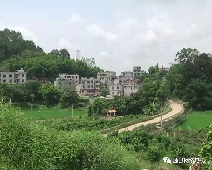 古龙镇德安村是我县的深度贫困村,全村有15个自然村712户2896人,贫困