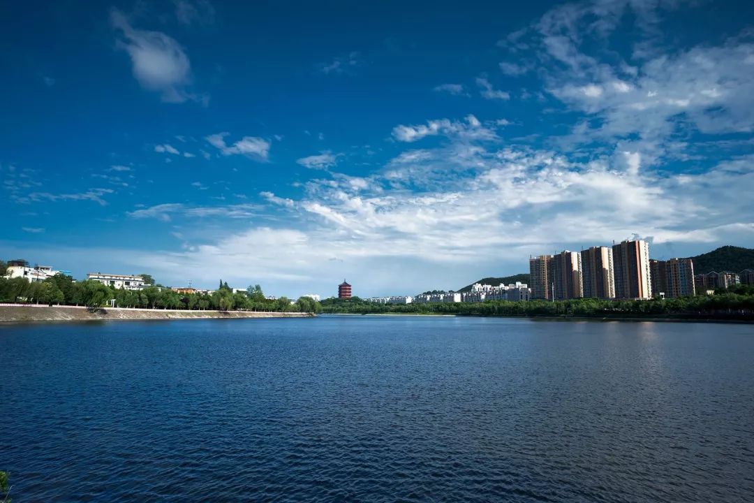 我要爆料为啥信阳人都是这样的