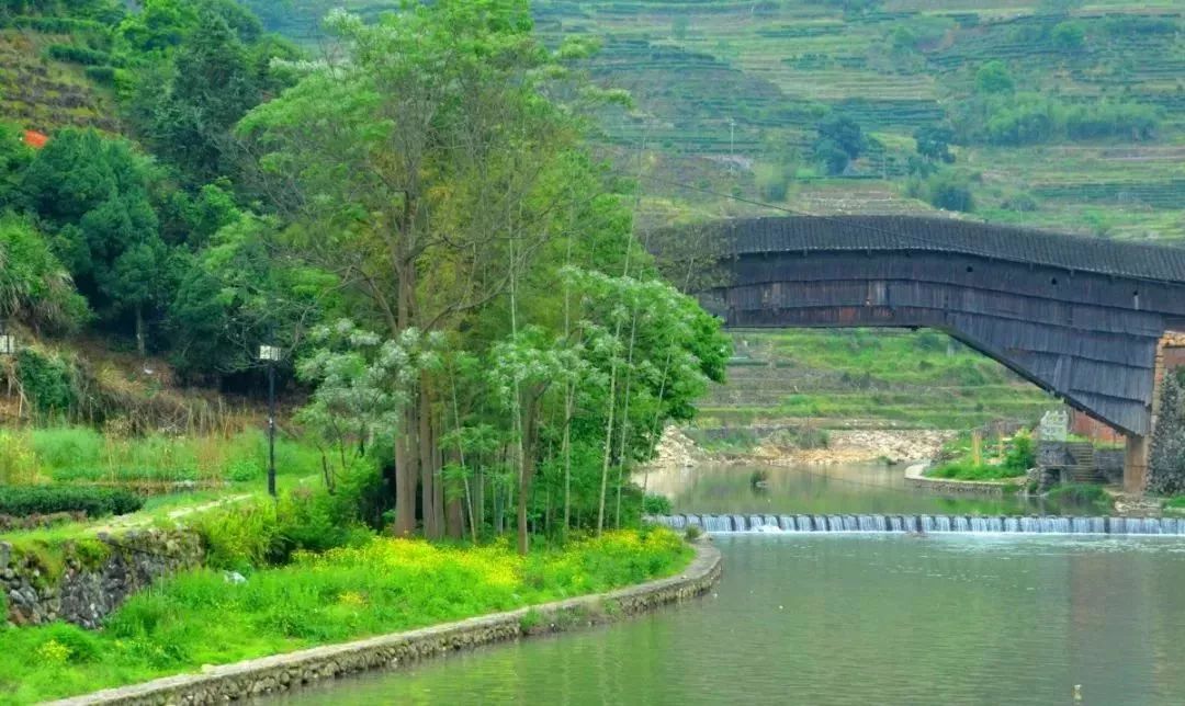 寿宁犀溪的西浦廊桥文化享誉全国,在人口聚居不到2000米长的河段上