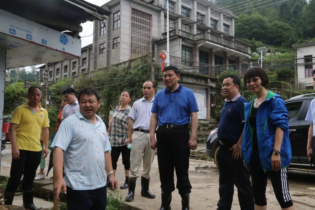 市委常委,组织部长李镇发到我县视察指导抗洪抢险工作
