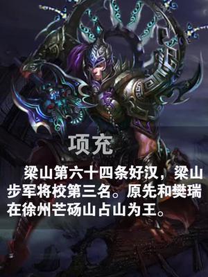 水浒英雄谱之地飞星八臂哪吒项充食在南京抖音小助手