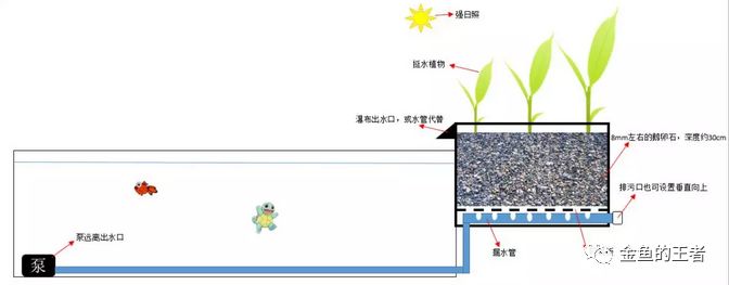 有用懒人首选的过滤方式