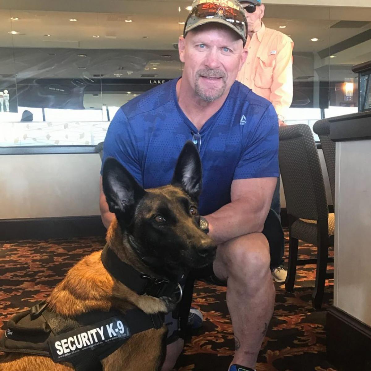 wwe摔角手擂台外生活了解一下 dx展现严肃一面 德州响尾蛇逗警犬