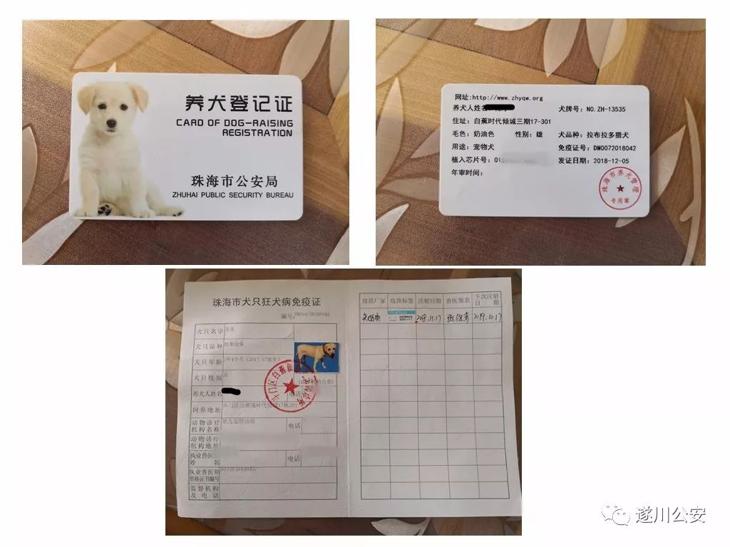 民警查看了陈某于2017年2月在珠海市办理的养犬登记证相关信息,狗毛为