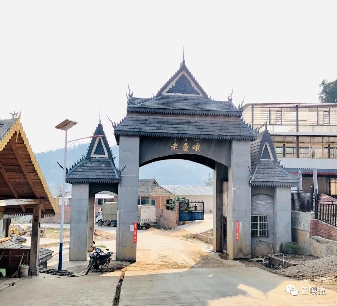 老曼峨布朗山无冕之王