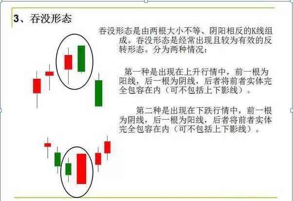 海底捞月形态图解图片