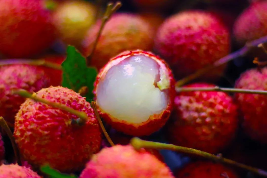 桃子荔枝蓝莓葡萄李子…成都夏季采摘攻略看这一份就够了!