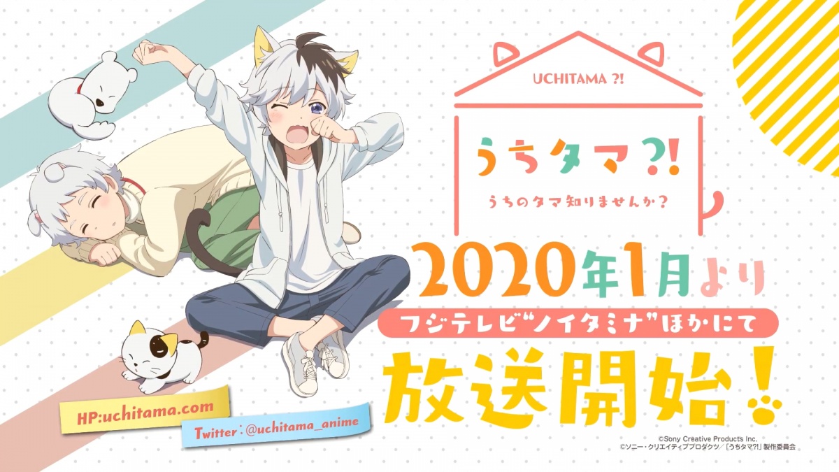 原创动画《猫狗宠物街》公开主视觉图 2020年1月播出