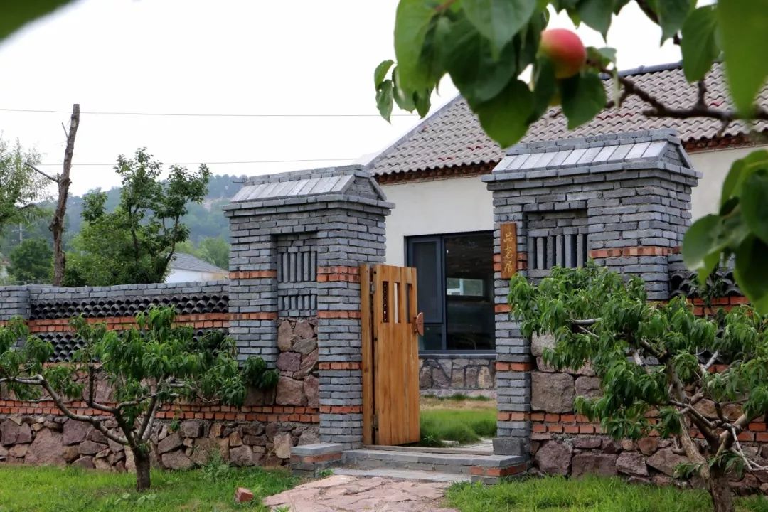 莒南乡村振兴临沂日报这样说