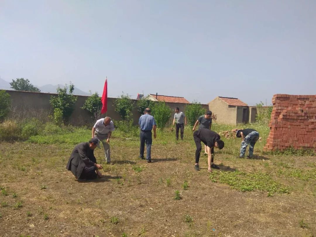 西瓦窑沟村大院西村花园村近期,许孟镇组织各村党员开展"党员拥护党旗