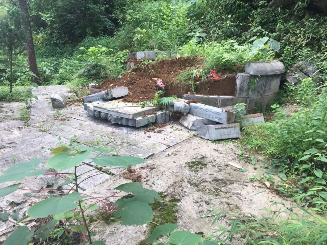 可恶!桂林某地一家族墓地近20座被集体盗挖!什么仇什么怨?