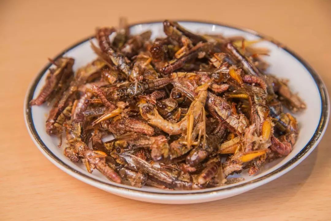 就在市区这里吃炸草蜢吸灵芝面还有云南直采野生菌汤火锅健康又养生