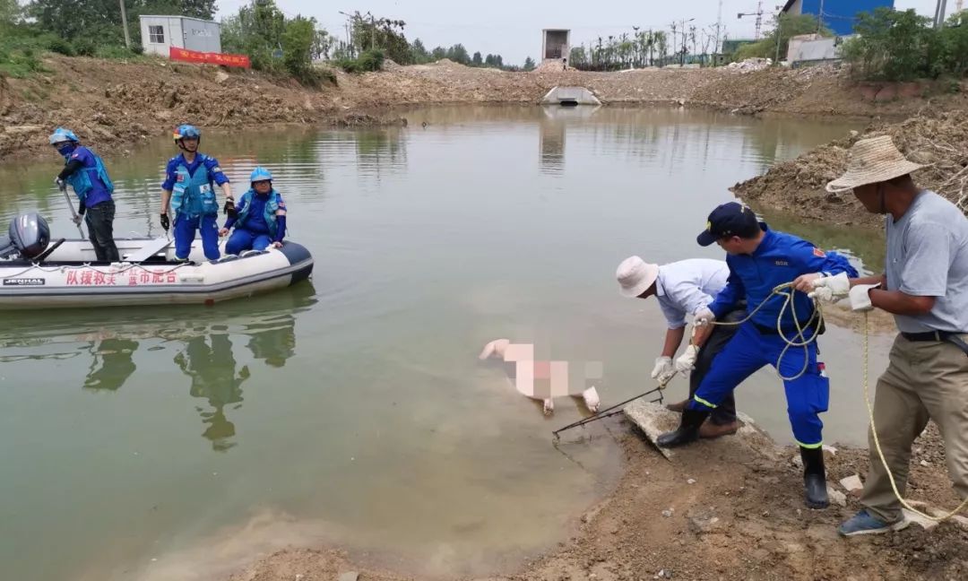 长丰赤裸男子溺亡合肥蓝天凌晨出队救援上岸