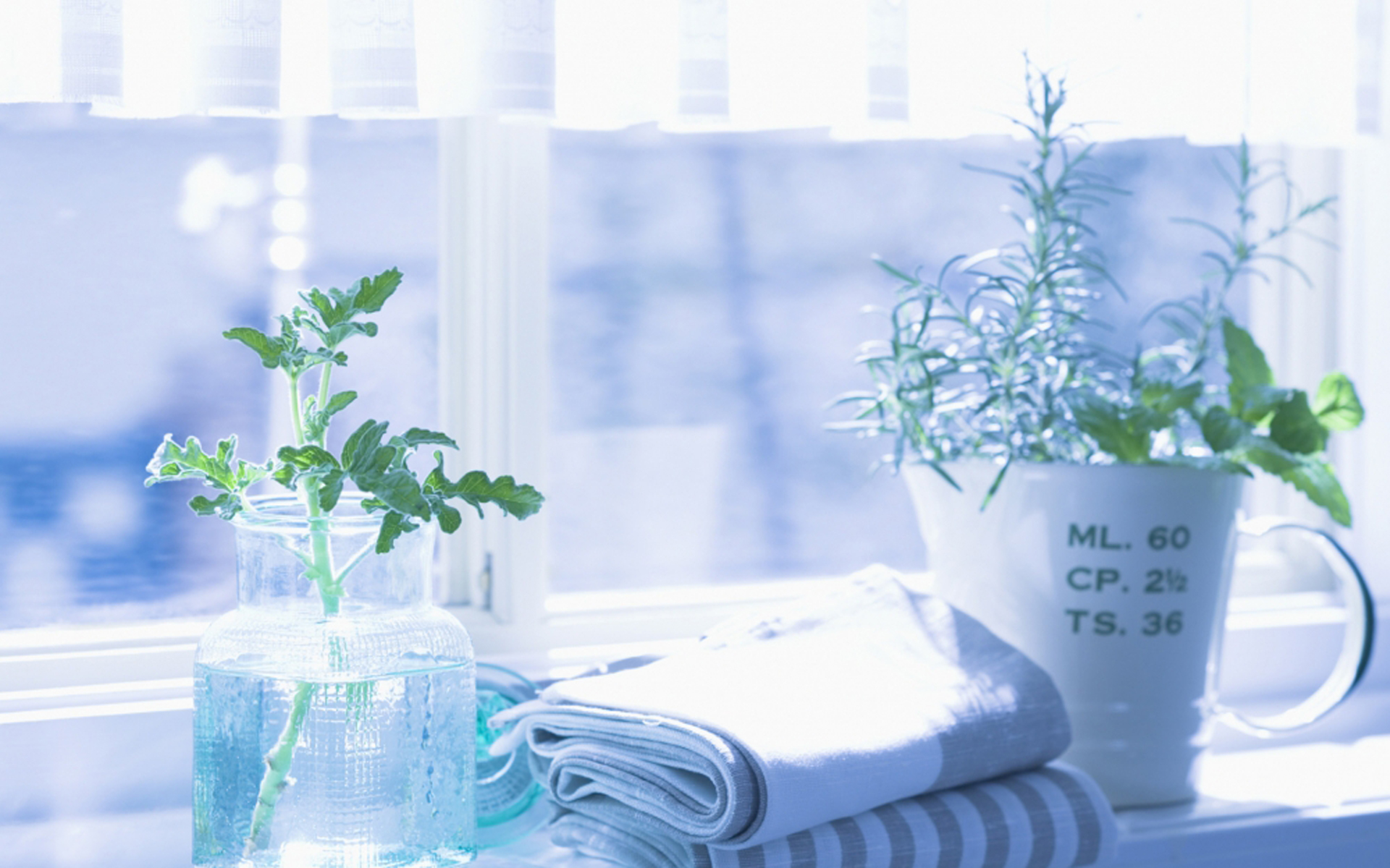 笑翻天:一波逆天的熊孩子