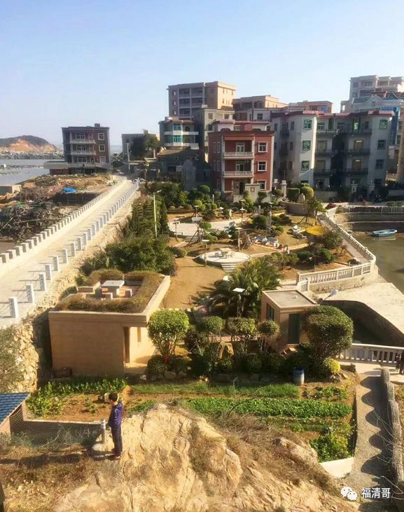 【全域综合治水】东瀚镇:一村一池塘建设 实现一举三得