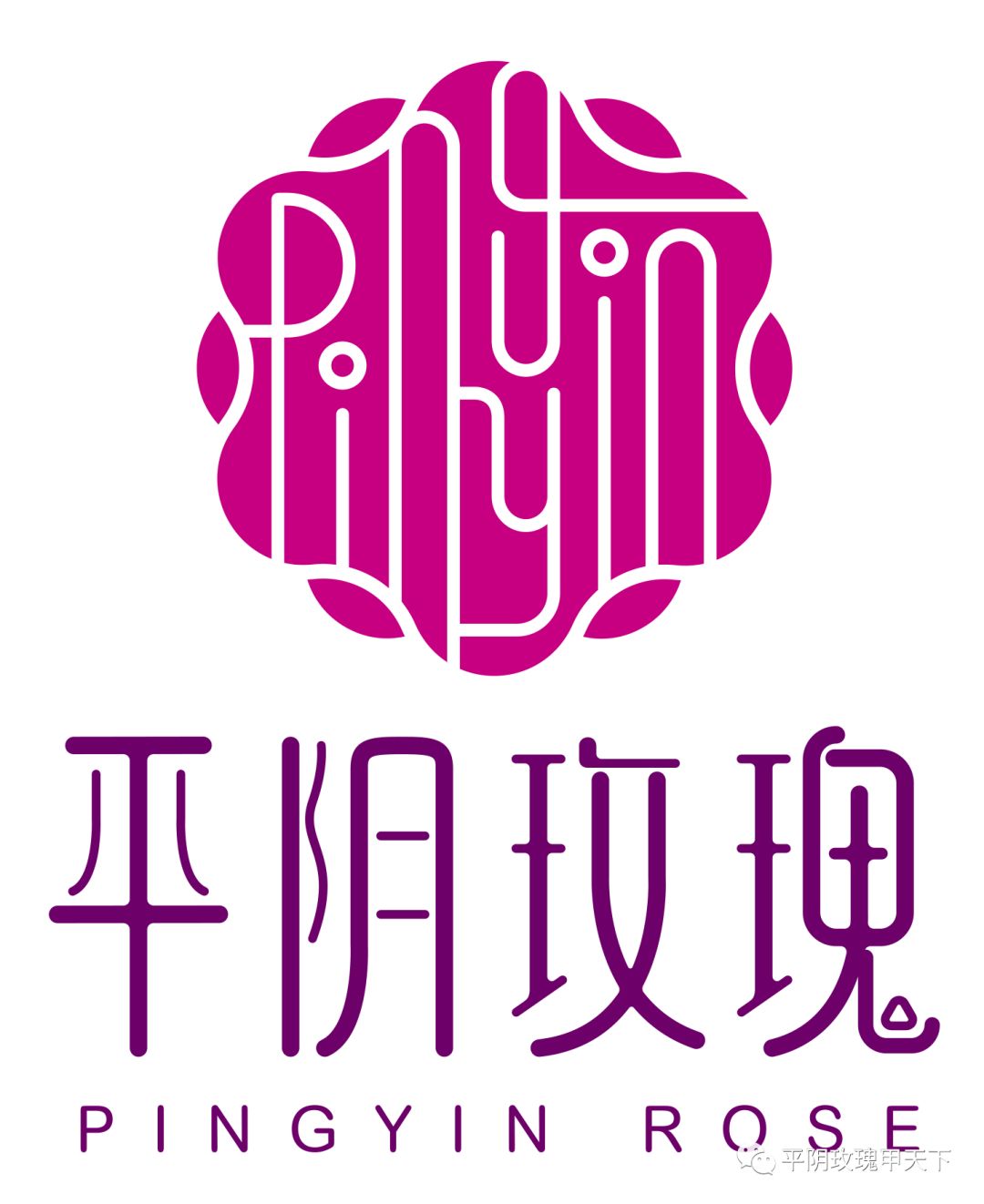 借一带一路春风平阴玫瑰行销海内外玫瑰之乡泉水文化花卉大棚平阴县1