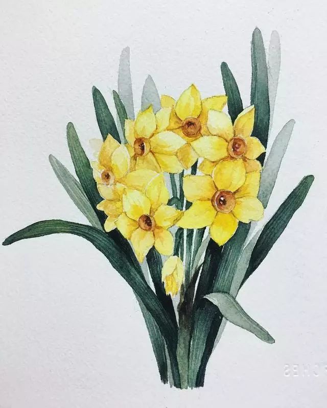 她的水彩花卉画的很美,让人看了有种初恋的感觉!