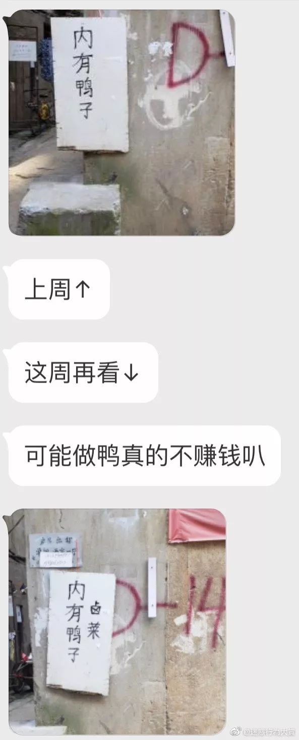 做鴨子,不賺錢嗎?