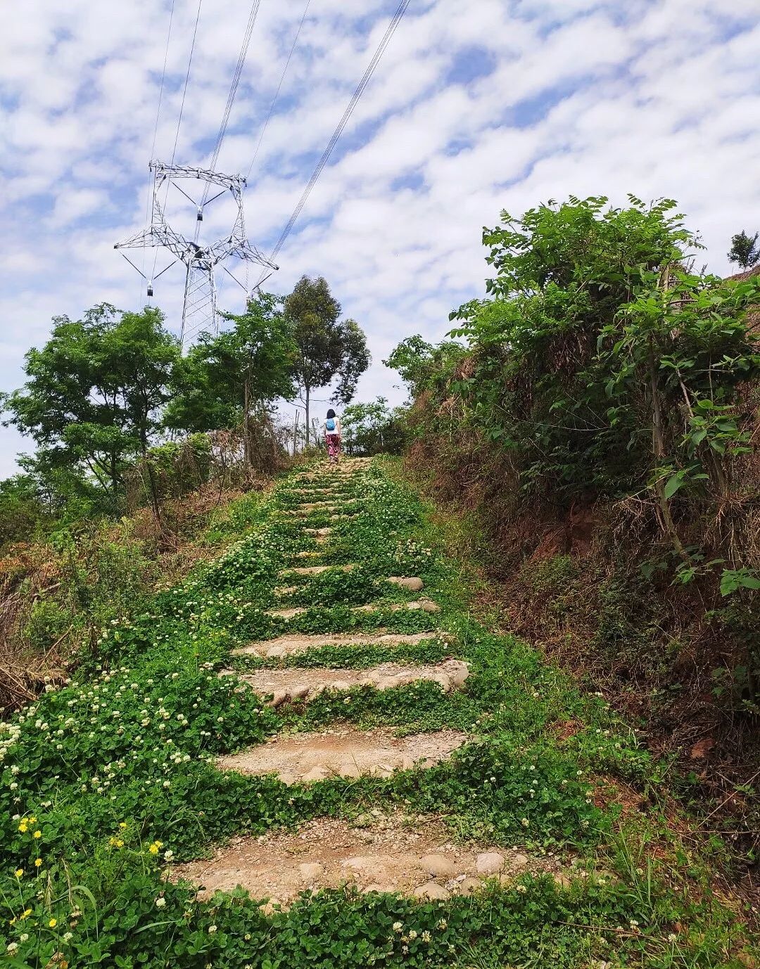 四川丨2019 崇州·无根山越野挑战赛报名进行时!