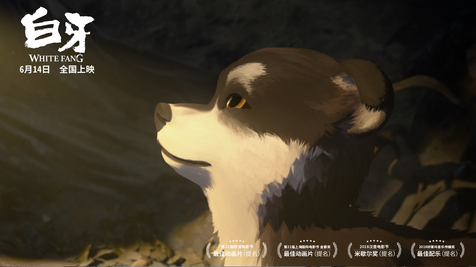 电影《白牙》曝月光版海报 6月14日暖化暑期档