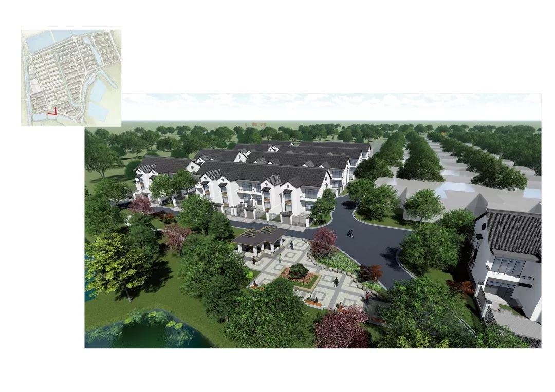 十年筑梦路聚势再起航厚桥街道十周年发展掠影