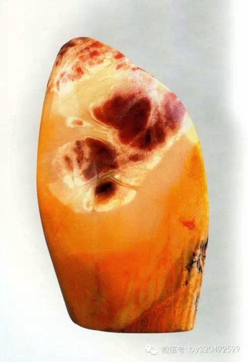 巴林福黄石的二十三个品种