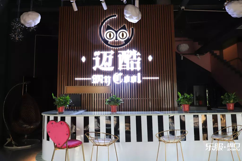 东区新建近1000平潮人轰趴馆几十种新玩法等你来high