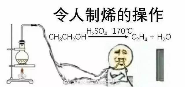 確認過表情包我們是同一專業的人