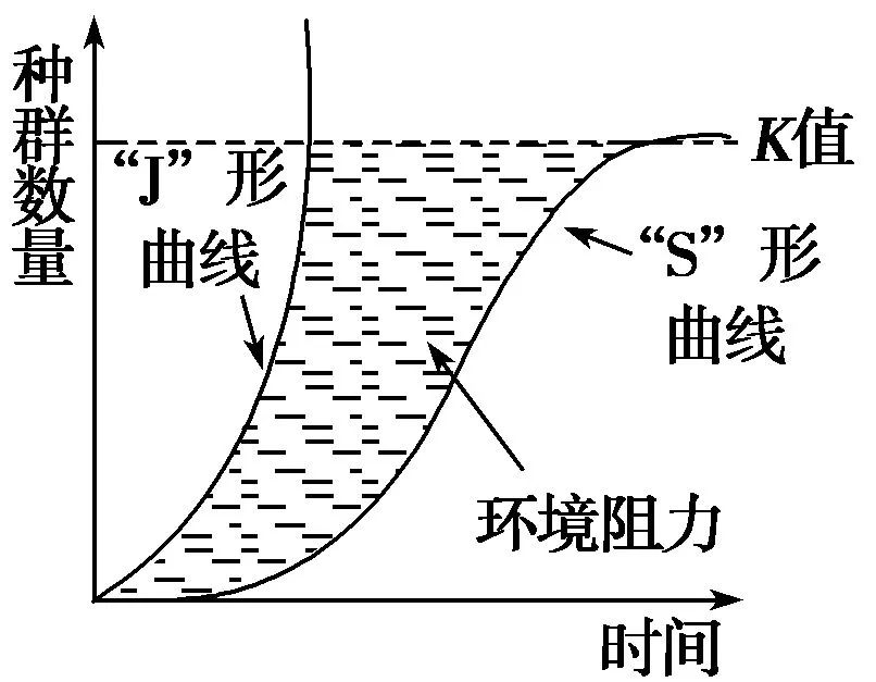 生物学上有这样一个知识点,j型和s型曲线