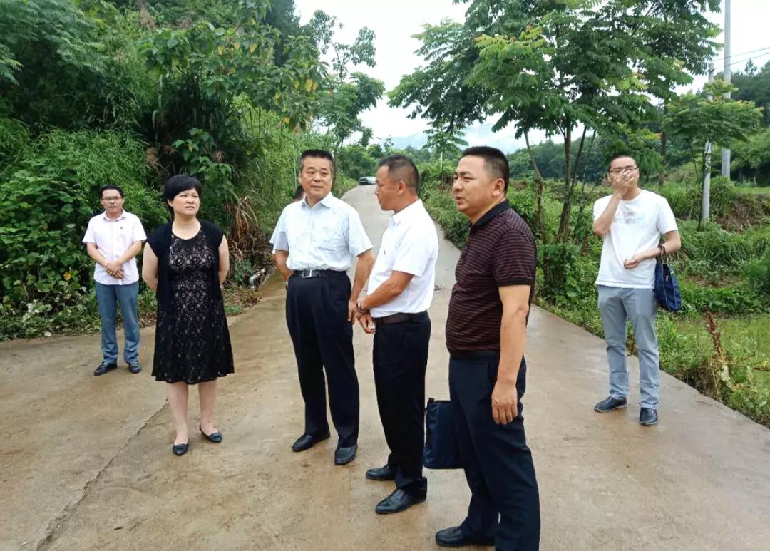 詹才红县长来向桥调研精准扶贫和美丽乡村建设