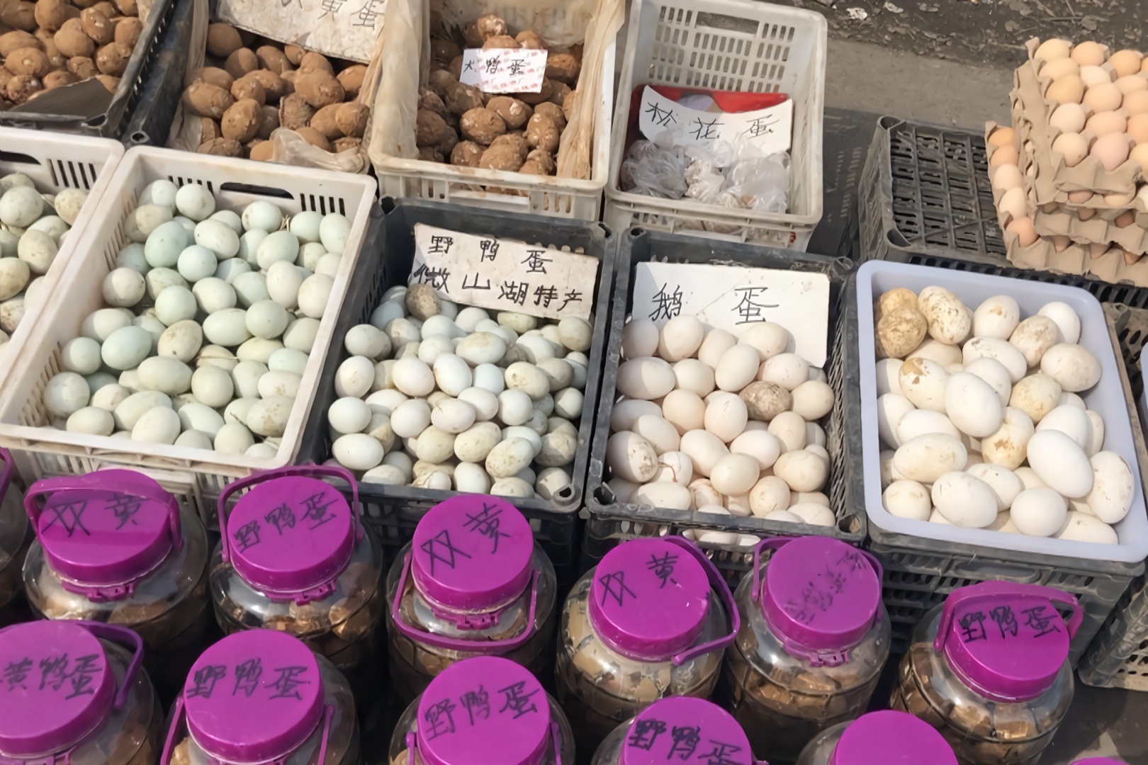 鹅蛋和鸭蛋最低多少钱看农村大婶卖微山湖特产太便宜了