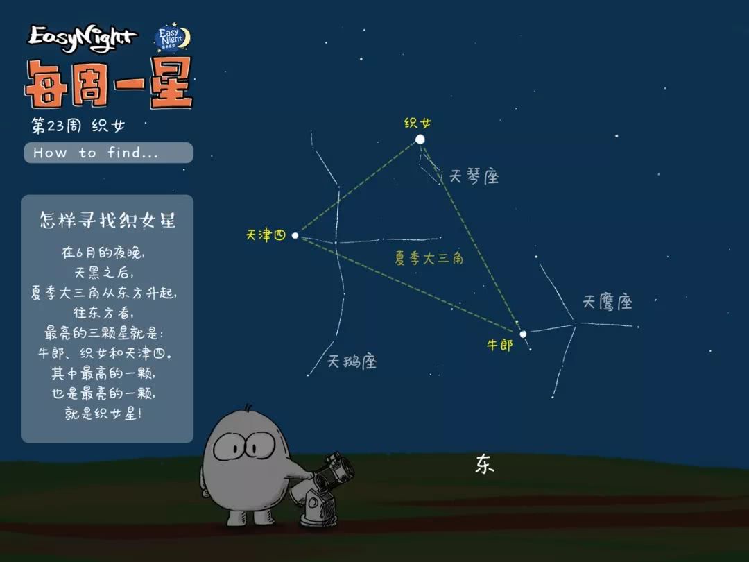 织女知名度最高的星星