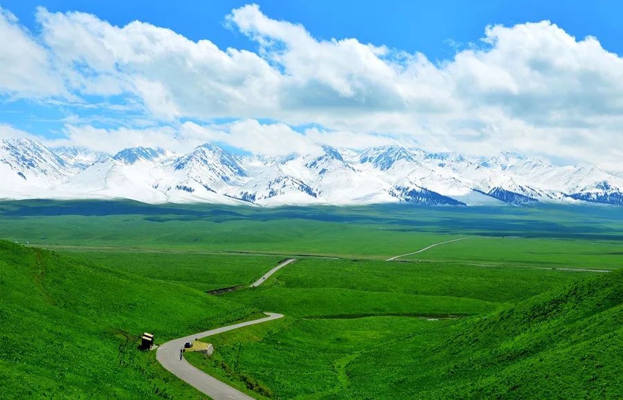 新疆隐藏着一片草原被评为中国最美六大草原之一你去过吗