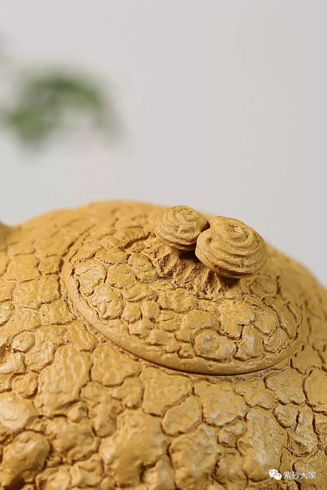 紫砂臻品 ‖ 钱程  ——《供春》