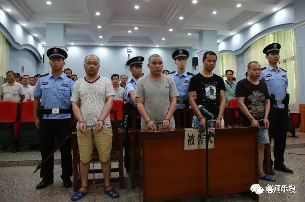 孙某被判死刑图片