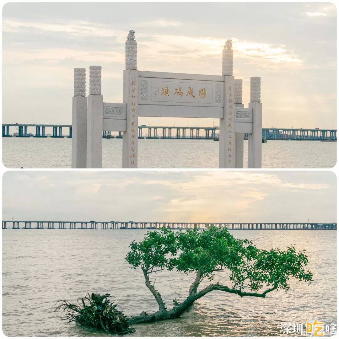 下一站固戍20元打卡巷子美食10分钟看海景