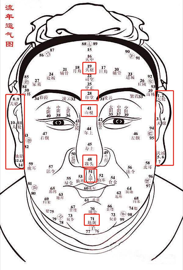 主要就是额头,鼻子,下巴和耳朵~~有心理学家经研究认为 ,一个人的面相