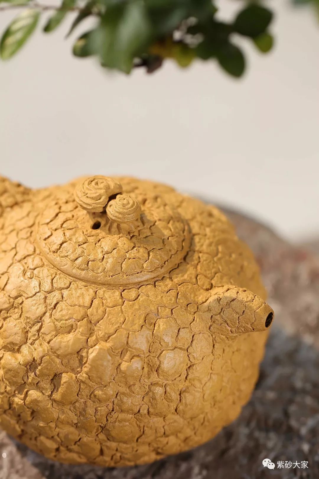 紫砂臻品 ‖ 钱程  ——《供春》