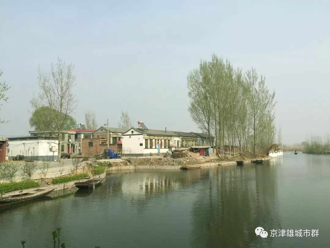 白洋淀水区村已明确拆迁!_刘李庄镇