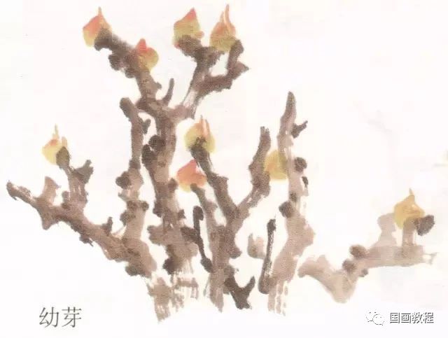 国画教程写意牡丹的枝干画法