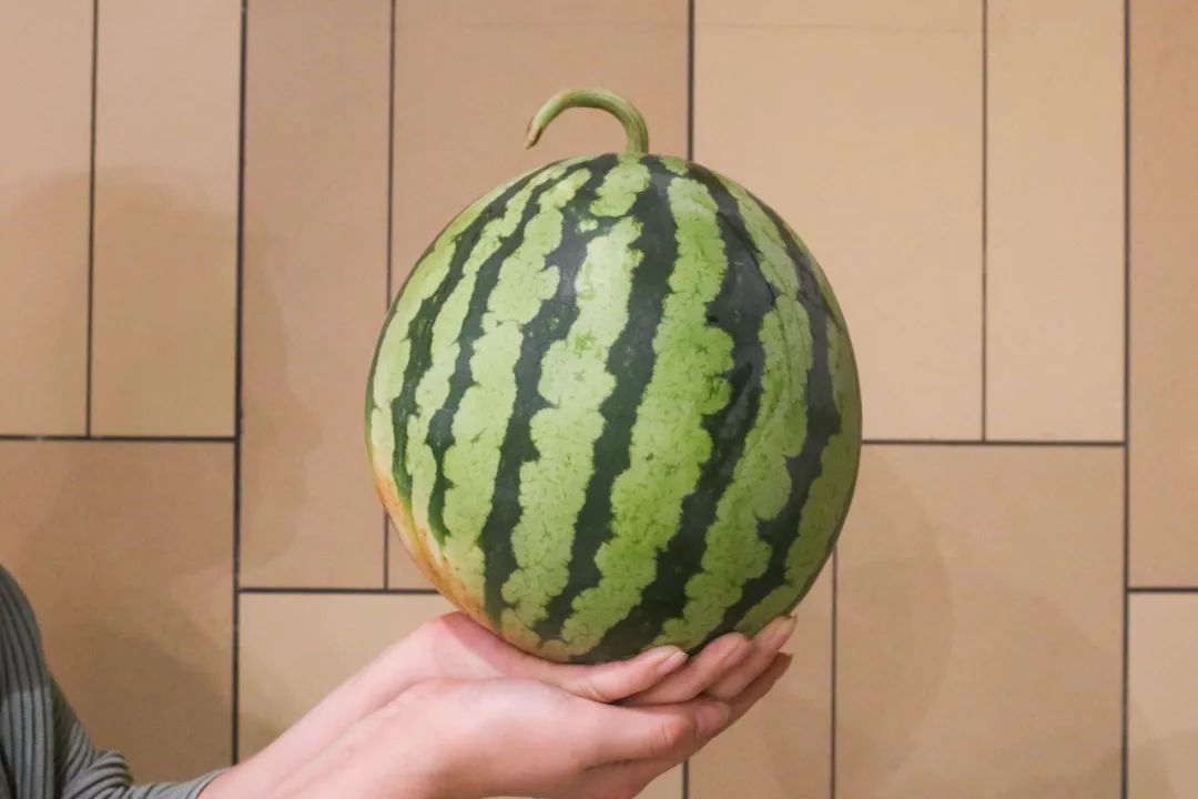 1小时杀了5只瓜,只为做全魔都超合格的吃瓜群众!