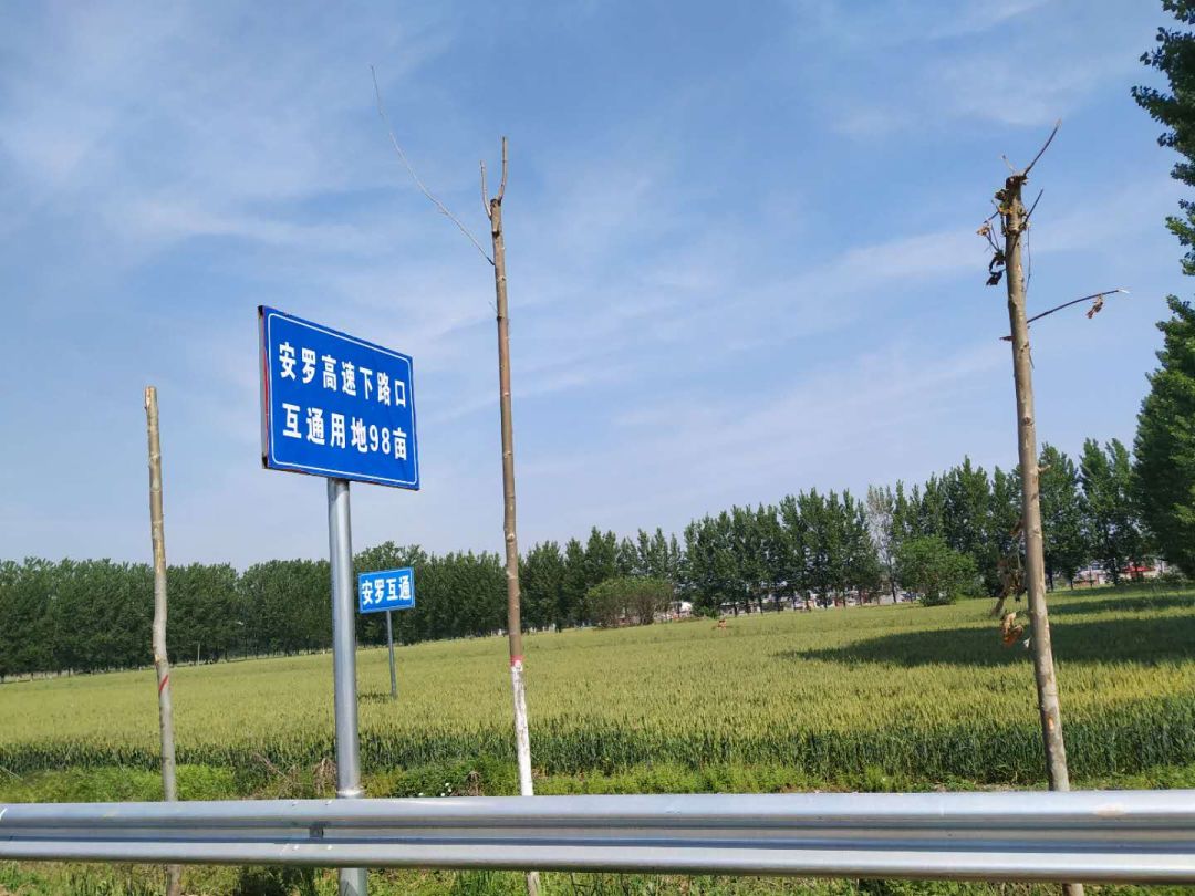 3年后,你会庆幸自己没有离开大驻马!因为
