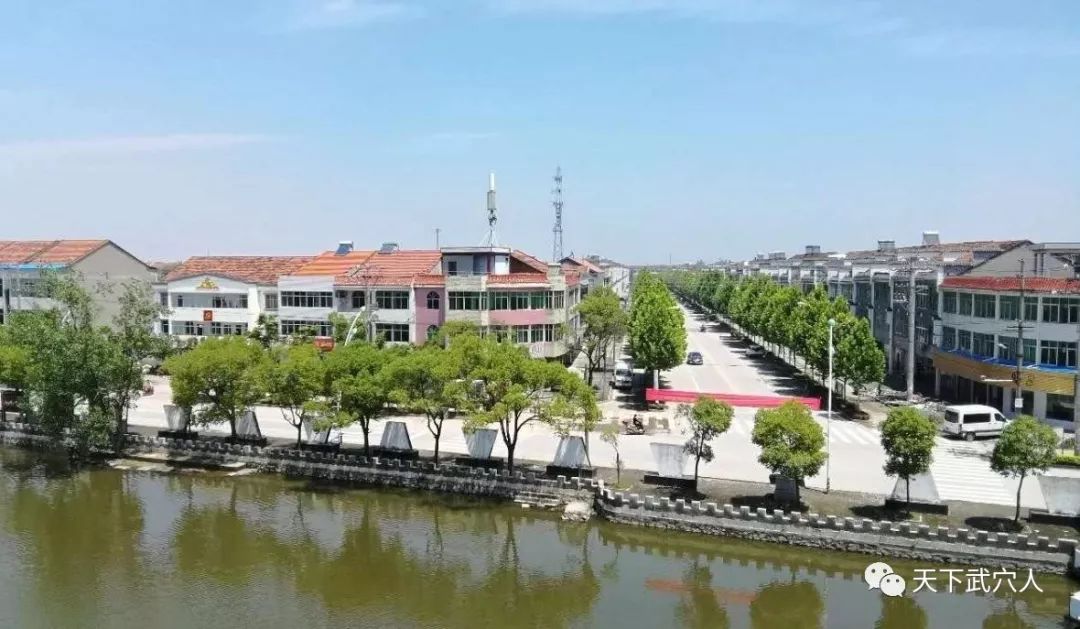 古镇龙坪绽芳华