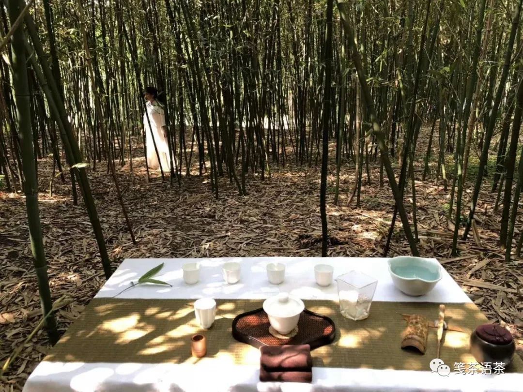 视频/紫竹院竹影茶会_竹林