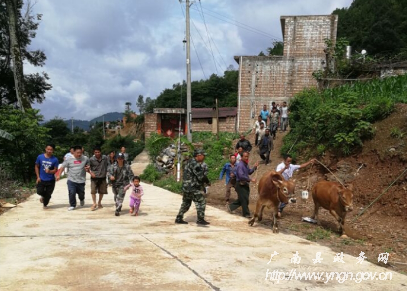 演练有效地提高了那洒镇乃至全县地质灾害防治快速反应能力,决策应对