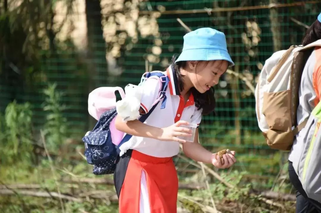 小野人夏令营仙女山归原小镇留下充满野趣的童年记忆余少量名额