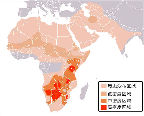 花豹在世界地理位置上面的分布很广,从撒哈拉大沙漠,到喜马拉雅山脉都
